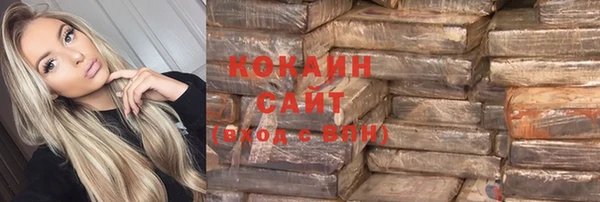 дживик Алзамай