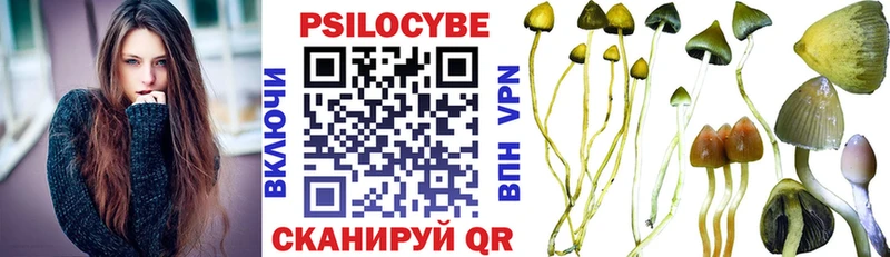 Псилоцибиновые грибы Psilocybine cubensis  дарнет шоп  Гуково 